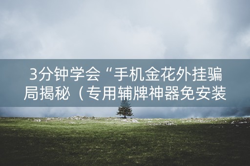 3分钟学会“手机金花外挂骗局揭秘（专用辅牌神器免安装）
