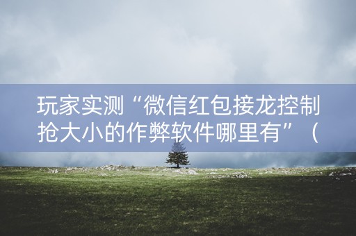 玩家实测“微信红包接龙控制抢大小的作弊软件哪里有”（详细透视教程）-哔哩哔哩