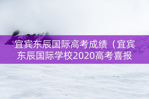 宜宾东辰国际高考成绩（宜宾东辰国际学校2020高考喜报）