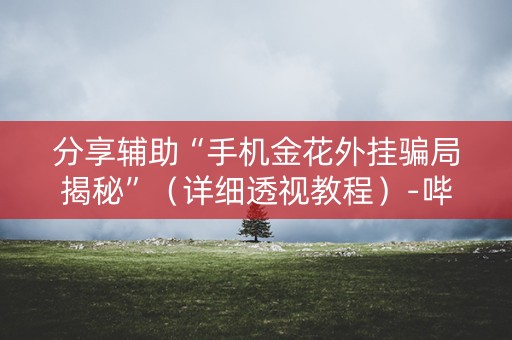 分享辅助“手机金花外挂骗局揭秘”（详细透视教程）-哔哩哔哩