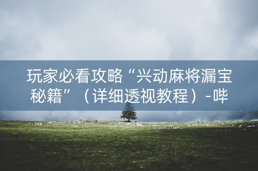 玩家必看攻略“兴动麻将漏宝秘籍”（详细透视教程）-哔哩哔哩