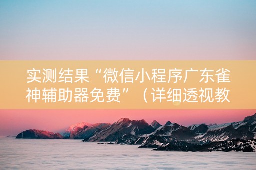实测结果“微信小程序广东雀神辅助器免费”（详细透视教程）-哔哩哔哩