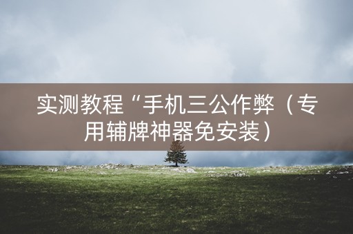 实测教程“手机三公作弊（专用辅牌神器免安装）