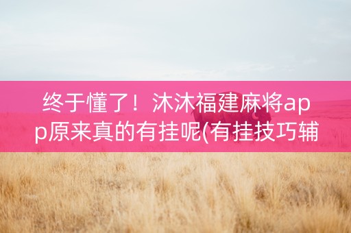终于懂了！沐沐福建麻将app原来真的有挂呢(有挂技巧辅助器)