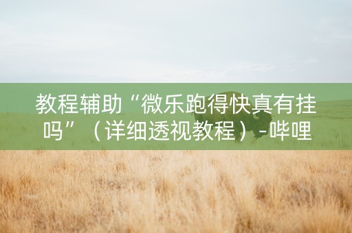 教程辅助“微乐跑得快真有挂吗”（详细透视教程）-哔哩哔哩
