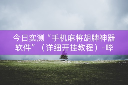 今日实测“手机麻将胡牌神器软件”（详细开挂教程）-哔哩哔哩