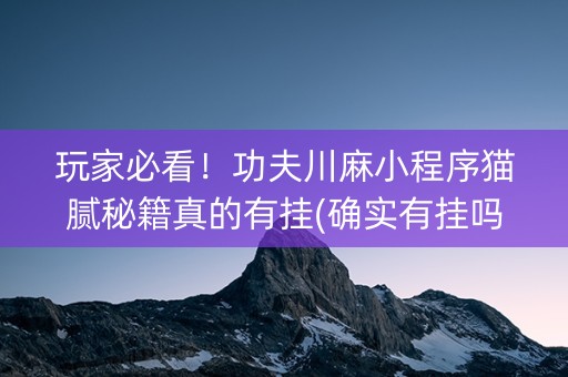 玩家必看！功夫川麻小程序猫腻秘籍真的有挂(确实有挂吗)