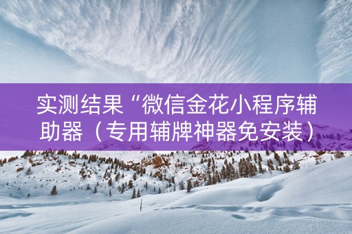 实测结果“微信金花小程序辅助器（专用辅牌神器免安装）