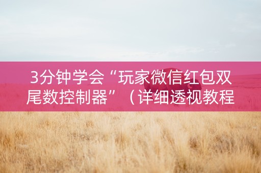 3分钟学会“玩家微信红包双尾数控制器”（详细透视教程）-哔哩哔哩