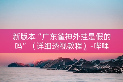 新版本“广东雀神外挂是假的吗”（详细透视教程）-哔哩哔哩