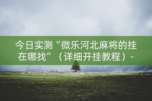 今日实测“微乐河北麻将的挂在哪找”（详细开挂教程）-哔哩哔哩
