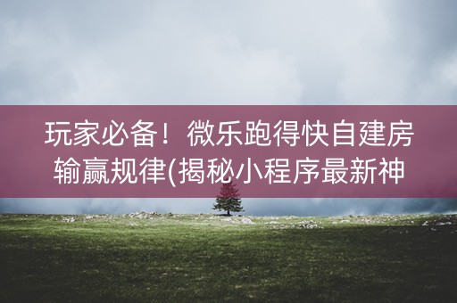 玩家必备！微乐跑得快自建房输赢规律(揭秘小程序最新神器下载)