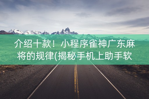 介绍十款！小程序雀神广东麻将的规律(揭秘手机上助手软件)
