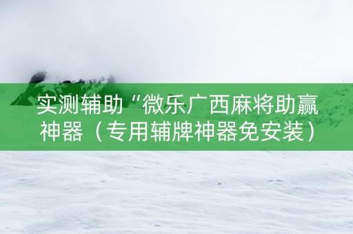 实测辅助“微乐广西麻将助赢神器（专用辅牌神器免安装）