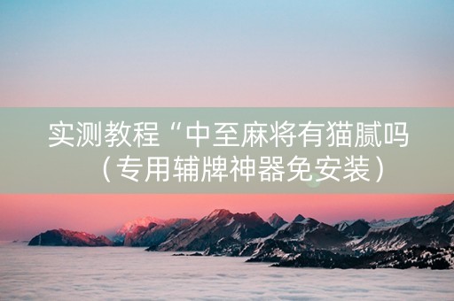 实测教程“中至麻将有猫腻吗（专用辅牌神器免安装）