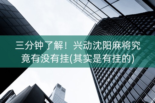 三分钟了解！兴动沈阳麻将究竟有没有挂(其实是有挂的)