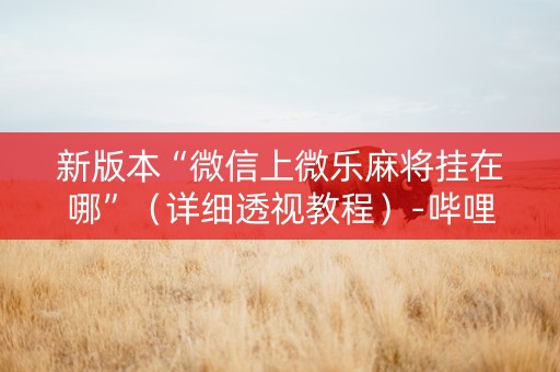 新版本“微信上微乐麻将挂在哪”（详细透视教程）-哔哩哔哩