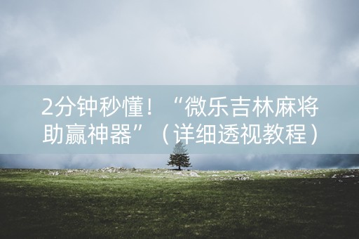 2分钟秒懂！“微乐吉林麻将助赢神器”（详细透视教程）-哔哩哔哩