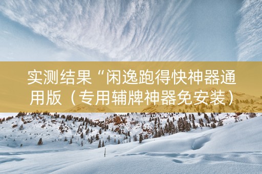 实测结果“闲逸跑得快神器通用版（专用辅牌神器免安装）
