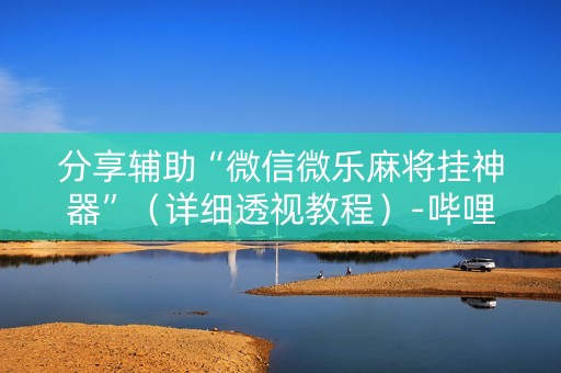 分享辅助“微信微乐麻将挂神器”（详细透视教程）-哔哩哔哩