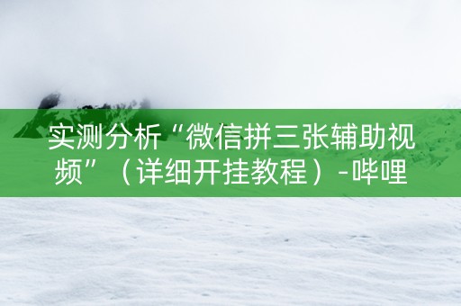 实测分析“微信拼三张辅助视频”（详细开挂教程）-哔哩哔哩