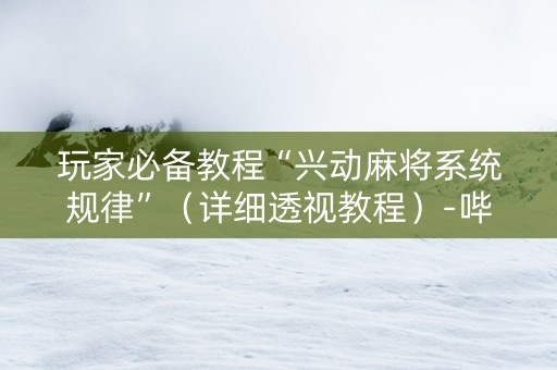 玩家必备教程“兴动麻将系统规律”（详细透视教程）-哔哩哔哩