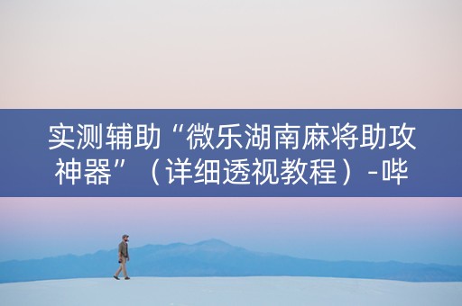 实测辅助“微乐湖南麻将助攻神器”（详细透视教程）-哔哩哔哩