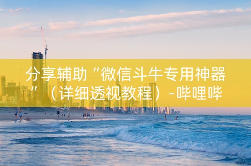 分享辅助“微信斗牛专用神器”（详细透视教程）-哔哩哔哩