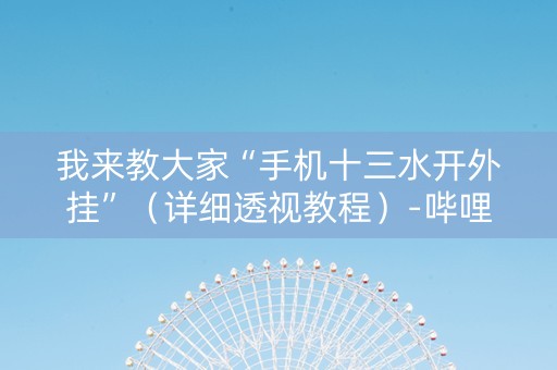 我来教大家“手机十三水开外挂”（详细透视教程）-哔哩哔哩