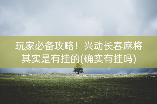 玩家必备攻略！兴动长春麻将其实是有挂的(确实有挂吗)