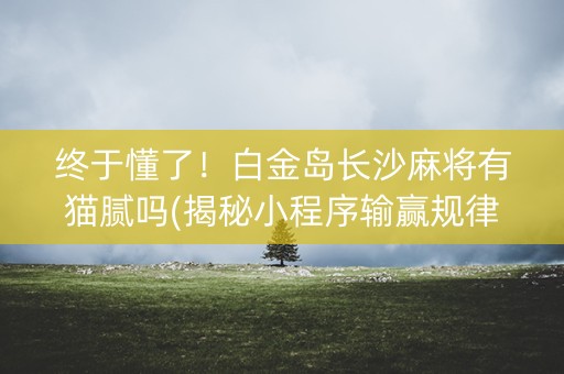 终于懂了！白金岛长沙麻将有猫腻吗(揭秘小程序输赢规律)
