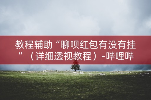 教程辅助“聊呗红包有没有挂”（详细透视教程）-哔哩哔哩