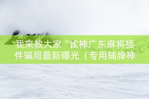 我来教大家“雀神广东麻将插件骗局最新曝光（专用辅牌神器免安装）
