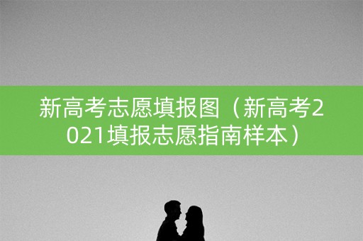 新高考志愿填报图（新高考2021填报志愿指南样本）