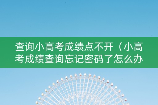 查询小高考成绩点不开（小高考成绩查询忘记密码了怎么办）