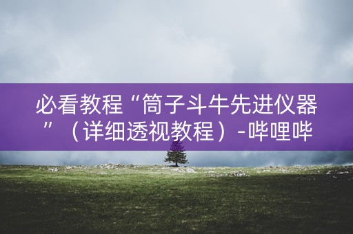 必看教程“筒子斗牛先进仪器”（详细透视教程）-哔哩哔哩