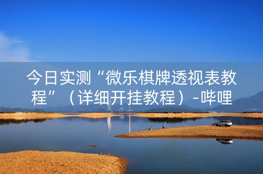 今日实测“微乐棋牌透视表教程”（详细开挂教程）-哔哩哔哩