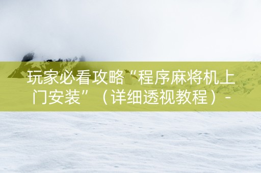 玩家必看攻略“程序麻将机上门安装”（详细透视教程）-哔哩哔哩
