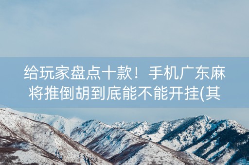 给玩家盘点十款！手机广东麻将推倒胡到底能不能开挂(其实确实有挂)