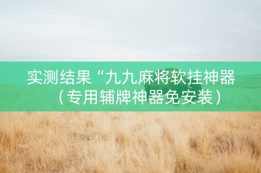 实测结果“九九麻将软挂神器（专用辅牌神器免安装）