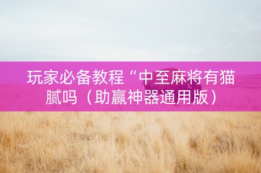 玩家必备教程“中至麻将有猫腻吗（助赢神器通用版）