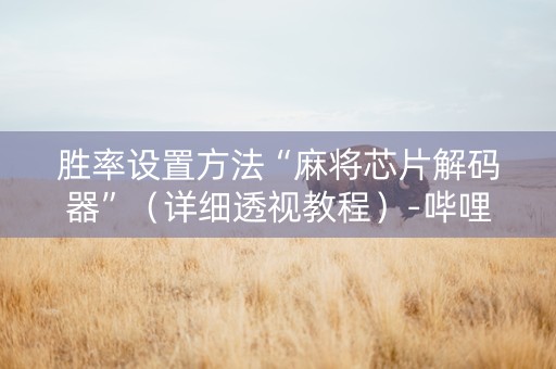 胜率设置方法“麻将芯片解码器”（详细透视教程）-哔哩哔哩