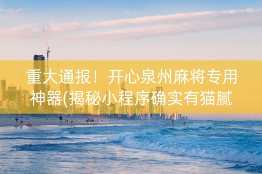重大通报！开心泉州麻将专用神器(揭秘小程序确实有猫腻)