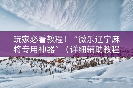 玩家必看教程！“微乐辽宁麻将专用神器”（详细辅助教程）-哔哩哔哩