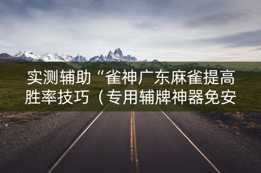 实测辅助“雀神广东麻雀提高胜率技巧（专用辅牌神器免安装）