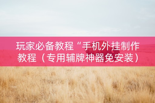 玩家必备教程“手机外挂制作教程（专用辅牌神器免安装）