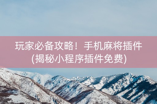 玩家必备攻略！手机麻将插件(揭秘小程序插件免费)