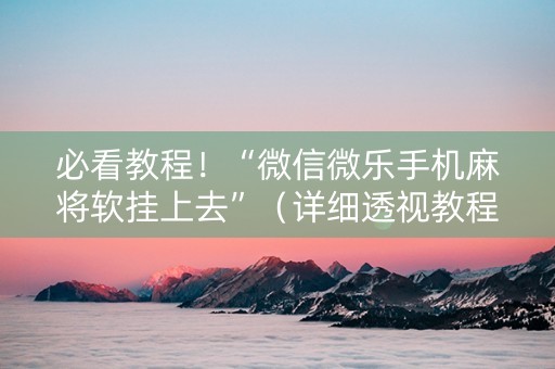 必看教程！“微信微乐手机麻将软挂上去”（详细透视教程）-哔哩哔哩