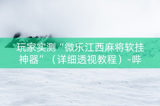 玩家实测“微乐江西麻将软挂神器”（详细透视教程）-哔哩哔哩