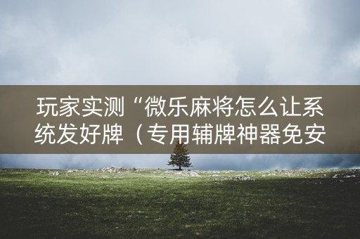 玩家实测“微乐麻将怎么让系统发好牌（专用辅牌神器免安装）
